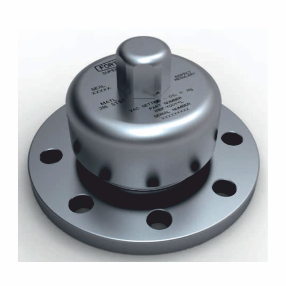 Fort Vale80NB PTFE Lined Flanged Vacuum Vent Fort Vale